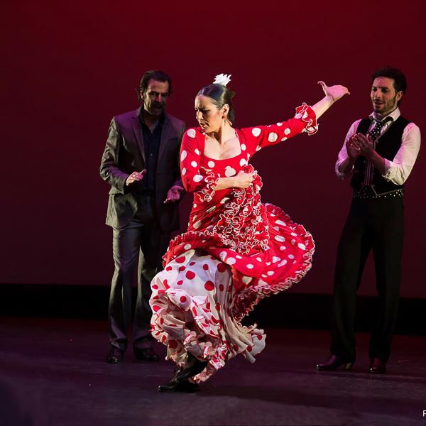 Whitaker World Music Series: Flamenco Vivo “A Workshop & Conversation on Dance,  Migration, Poetry, and Music-Making  Across Ethnic Divides”